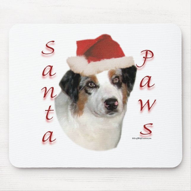 Australian shepherd Santa Tassar Musmatta (Framsidan)