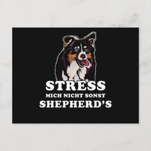 australian shepherd Sayed Vykort