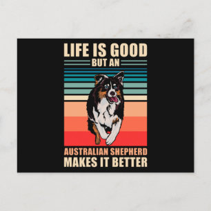 australian shepherd Sayed Vykort