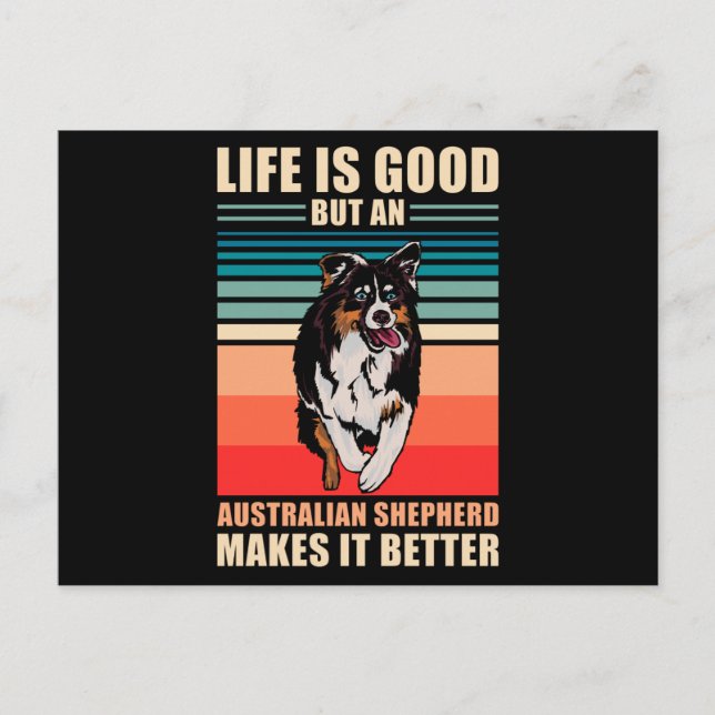 Australian shepherd Sayed Vykort (Framsida)