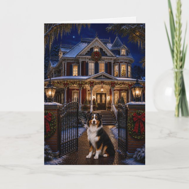 Australian Shepherd Semester  Kort (Framsida)