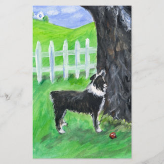 Australian shepherd ser ekorre