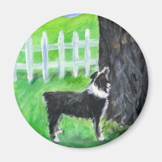 Australian shepherd ser ekorre magnet