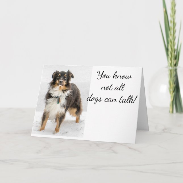 AUSTRALIAN SHEPHERD SKICKAR ETT BIRTIDKORT TILL EU KORT (Framsida)
