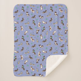 Australian shepherd spelar Roligt