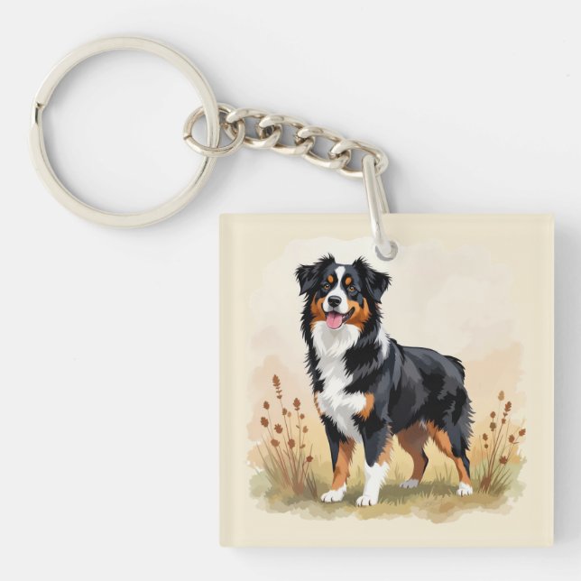Australian Shepherd svart trefärgad Aussie hund (Framsidan)