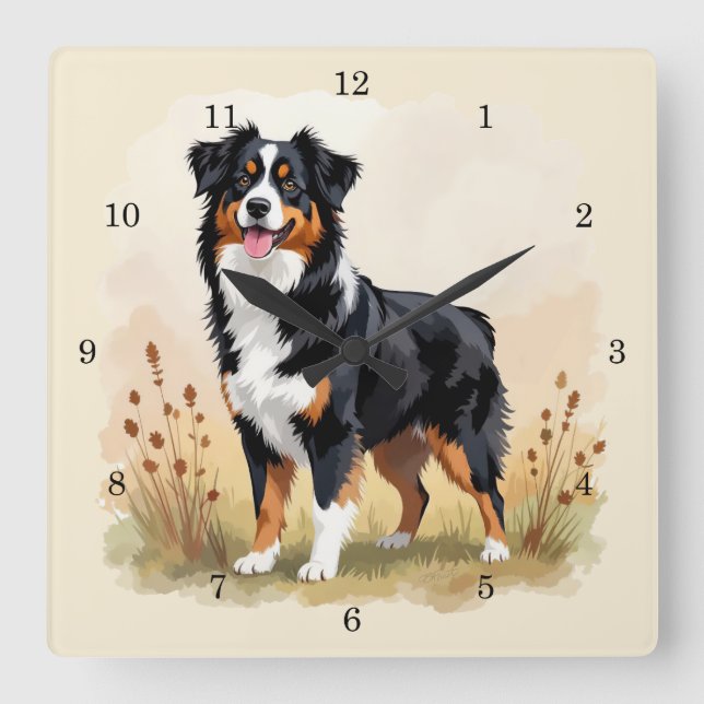 Australian Shepherd Svart Trefärgad Aussie Hund Fyrkantig Klocka (Framsida)