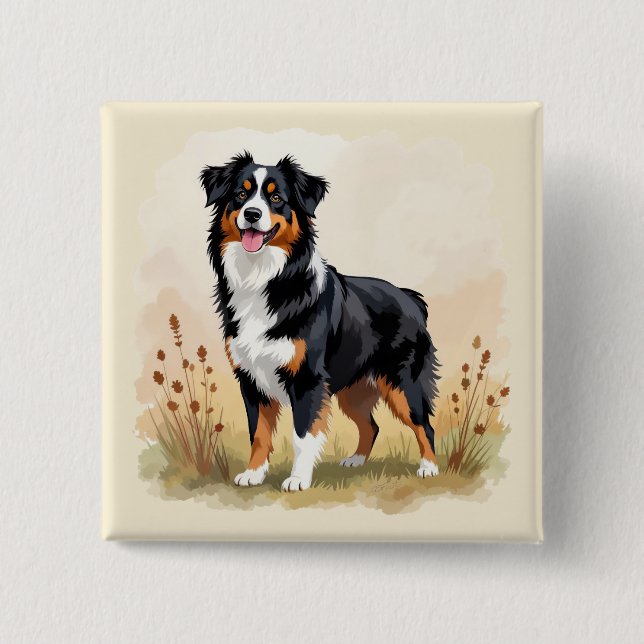 Australian Shepherd Svart Trefärgad Aussie Hund Knapp (Framsida)