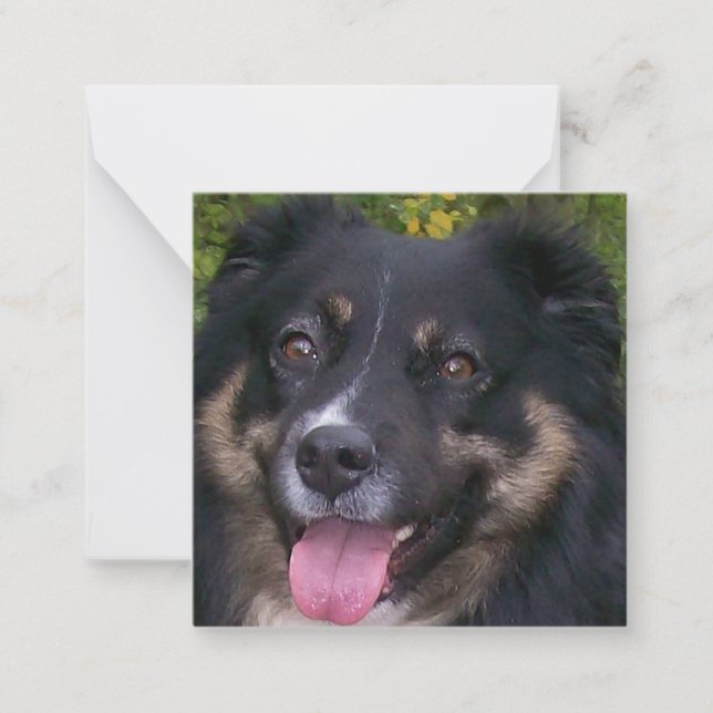 australian shepherd svart tri anteckningskort (Framsida)