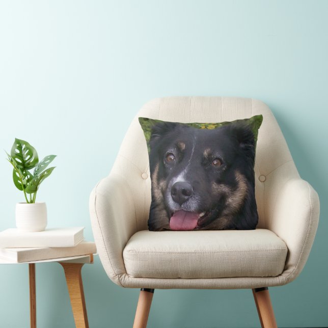 australian shepherd svart tri kudde (Stol)