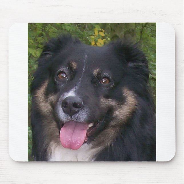 australian shepherd svart tri musmatta (Framsidan)