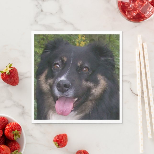 australian shepherd svart tri pappersservett (Insitu)