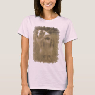 Australian shepherd tee shirt