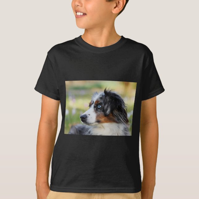 australian shepherd tee shirt (Framsida)