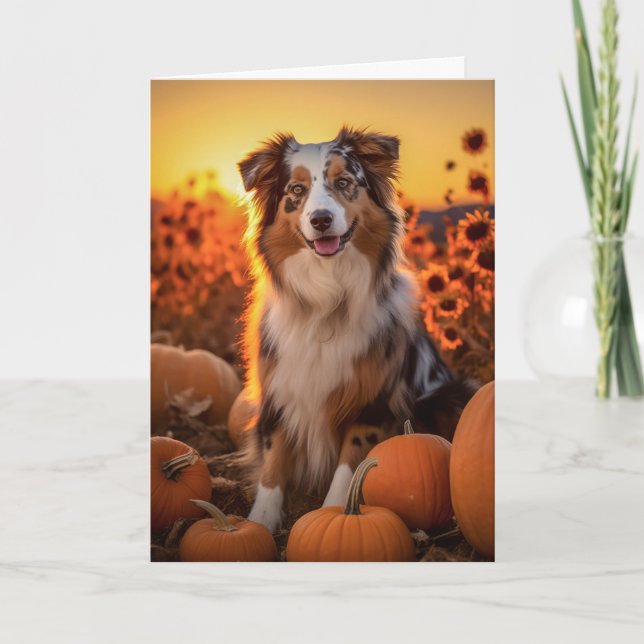 Australian shepherd Thanksgiving Helgkort (Framsida)