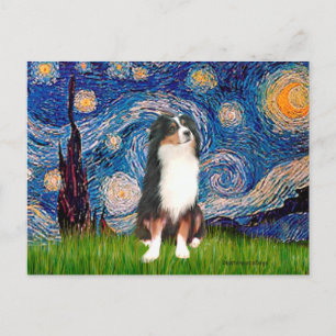 australian shepherd (Tri2) - Stjärnighet Vykort