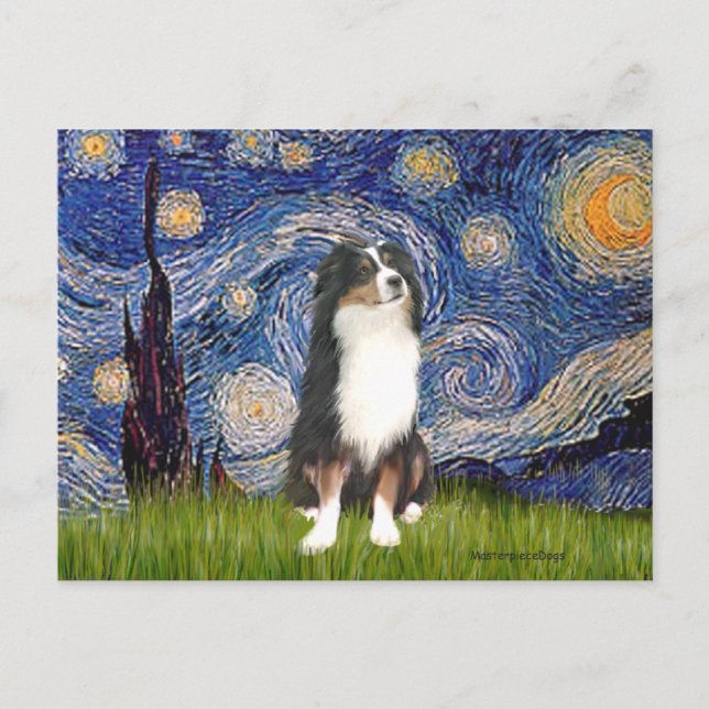 Australian Shepherd (Tri2) - Stjärnkväll Vykort (Framsida)