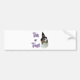 Australian shepherd Trick Bildekal