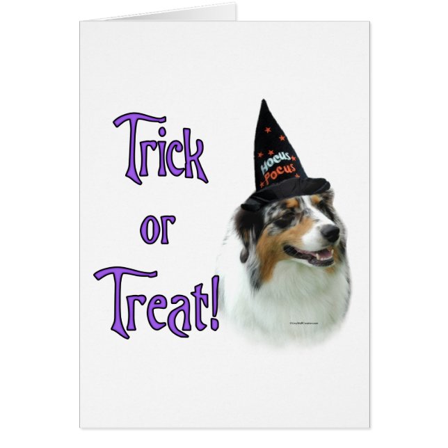 Australian shepherd Trick Hälsningskort (Framsidan)