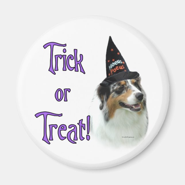 Australian shepherd Trick Magnet (Framsidan)