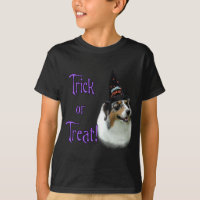 Australian shepherd Trick