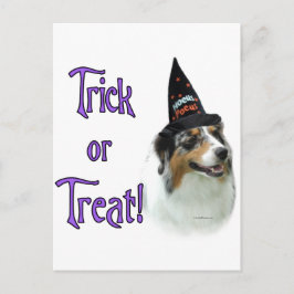 Australian shepherd Trick Vykort