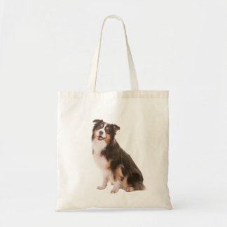 Australian Shepherd Tygkasse