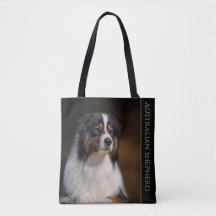 Australian shepherd