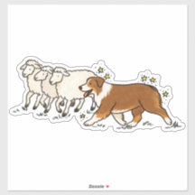 Australian Shepherd - Vallning