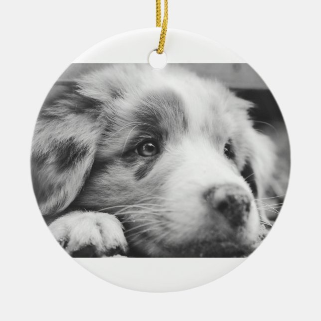 australian shepherd valp svartvit julgransprydnad keramik (Framsidan)