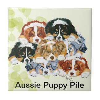 Australian shepherd - valphög kakelplatta
