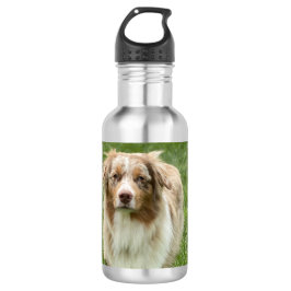 Australian shepherd Vattenflaska