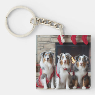 Australian Shepherd vid brasan jul