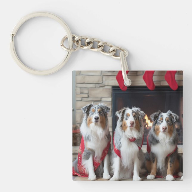 Australian Shepherd vid brasan jul (Framsidan)