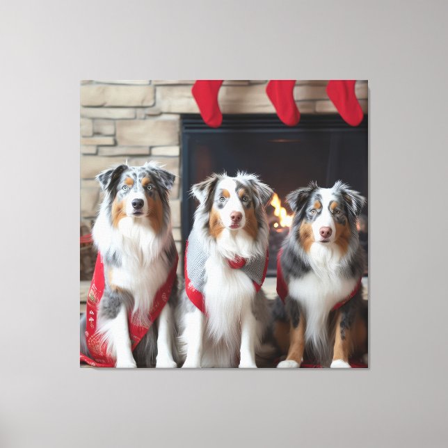 Australian Shepherd vid brasan jul Canvastryck (Framsida)