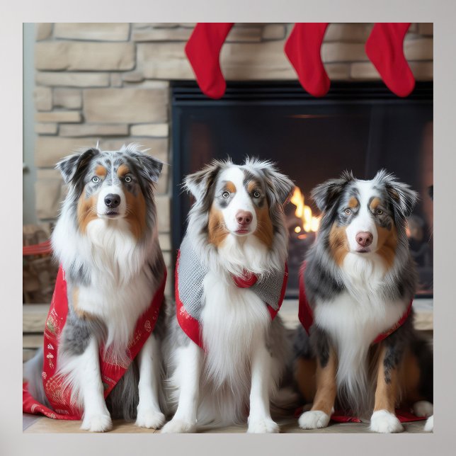 Australian Shepherd vid brasan jul Poster (Framsidan)