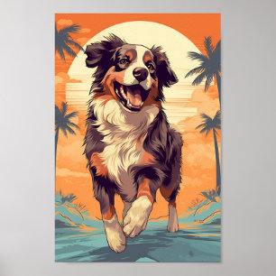 Australian shepherd vid en tropisk strand poster