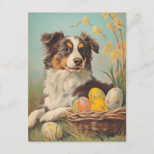 Australian shepherd Vintage Påsk Vykort