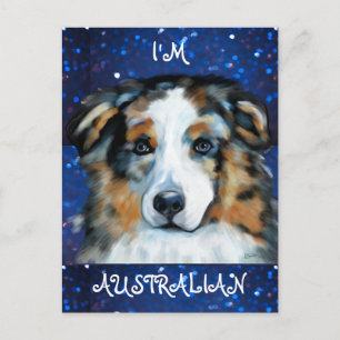 Australian Shepherd  Vykort