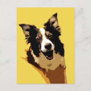 Australian shepherd vykort