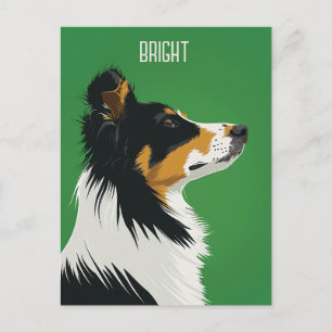 Australian shepherd vykort