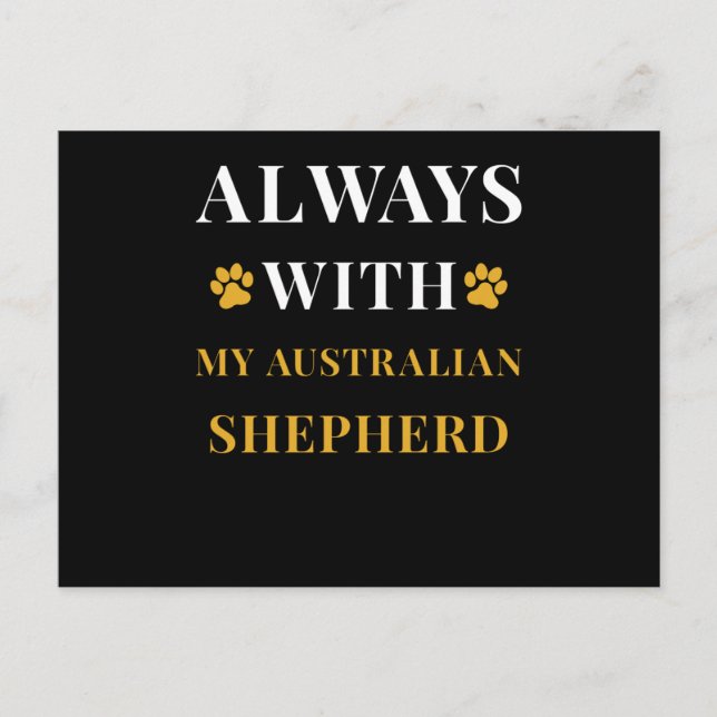 Australian shepherd vykort (Framsida)