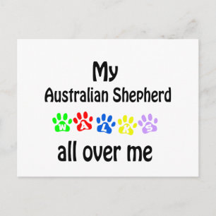 Australian shepherd Walks Design Vykort