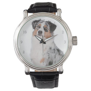 Australian shepherd Watch Armbandsur