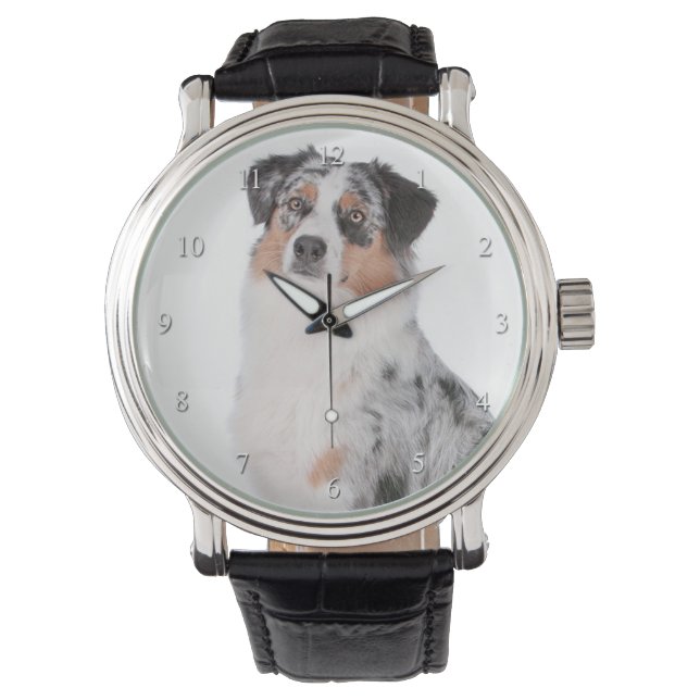 Australian shepherd Watch Armbandsur (Framsida)