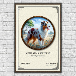 Australian Shepherd Zoologi Serie Poster