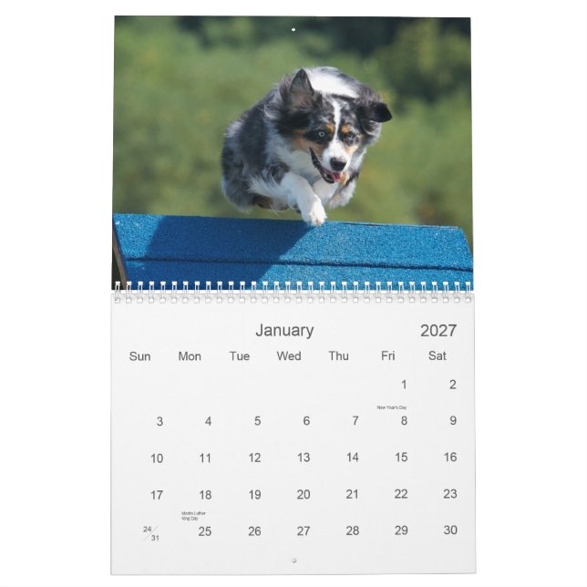Australian shepherdAgility väggkalender för 18 Kalender (Jan 2027)