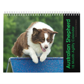 Australian shepherdAgility väggkalender för 18 Kalender
