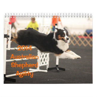 Australian shepherdAgilitykalender 2014 Kalender