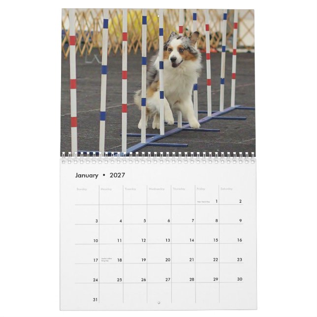 Australian shepherdAgilitykalender 2014 Kalender (Jan 2027)